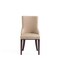 Manhattan Comfort Shubert Faux Leather and Velvet Dining Chair in Tan - Set of 2 DC055-TN - alternate 8